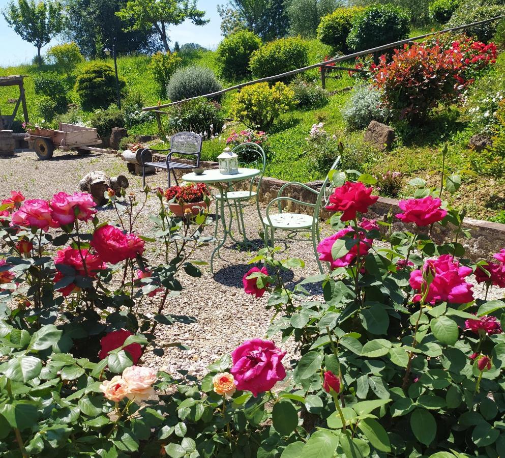 Appartamento Casa Elisa Montaione Esterno foto